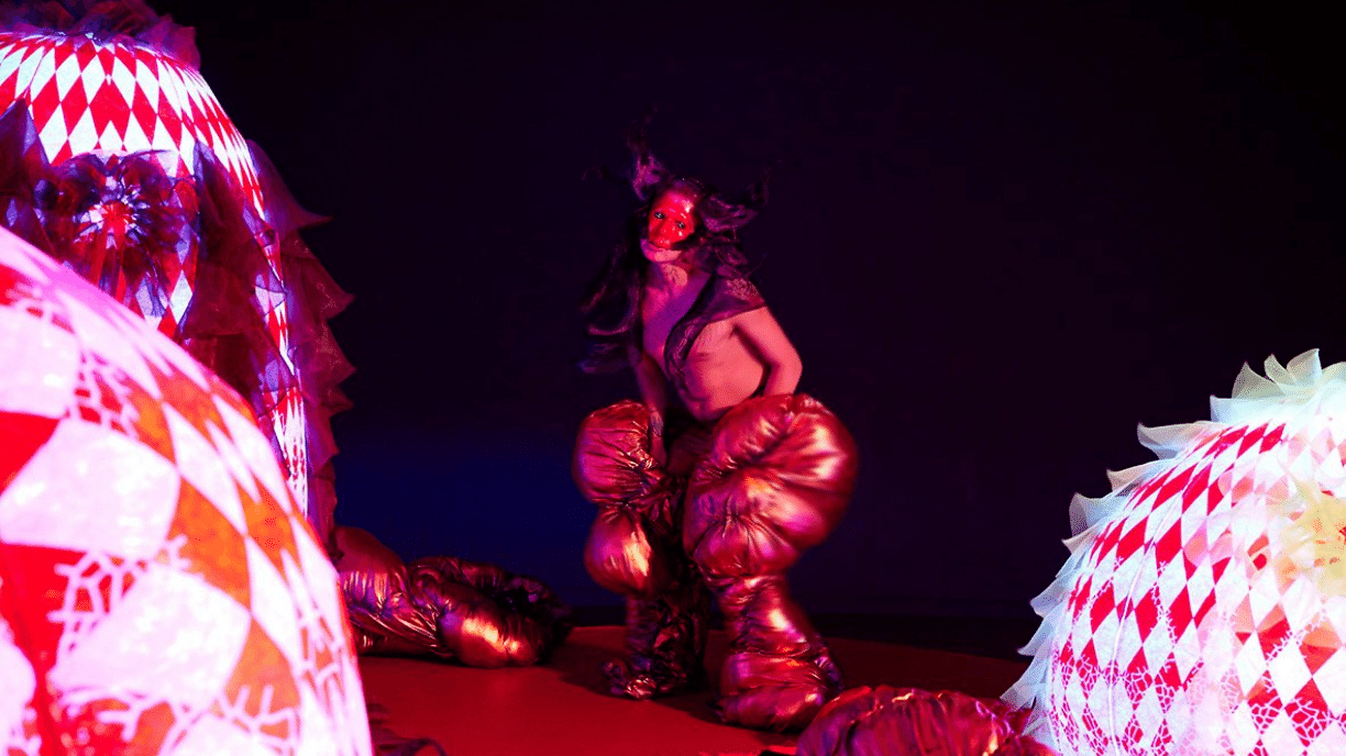 New Annual on a budget