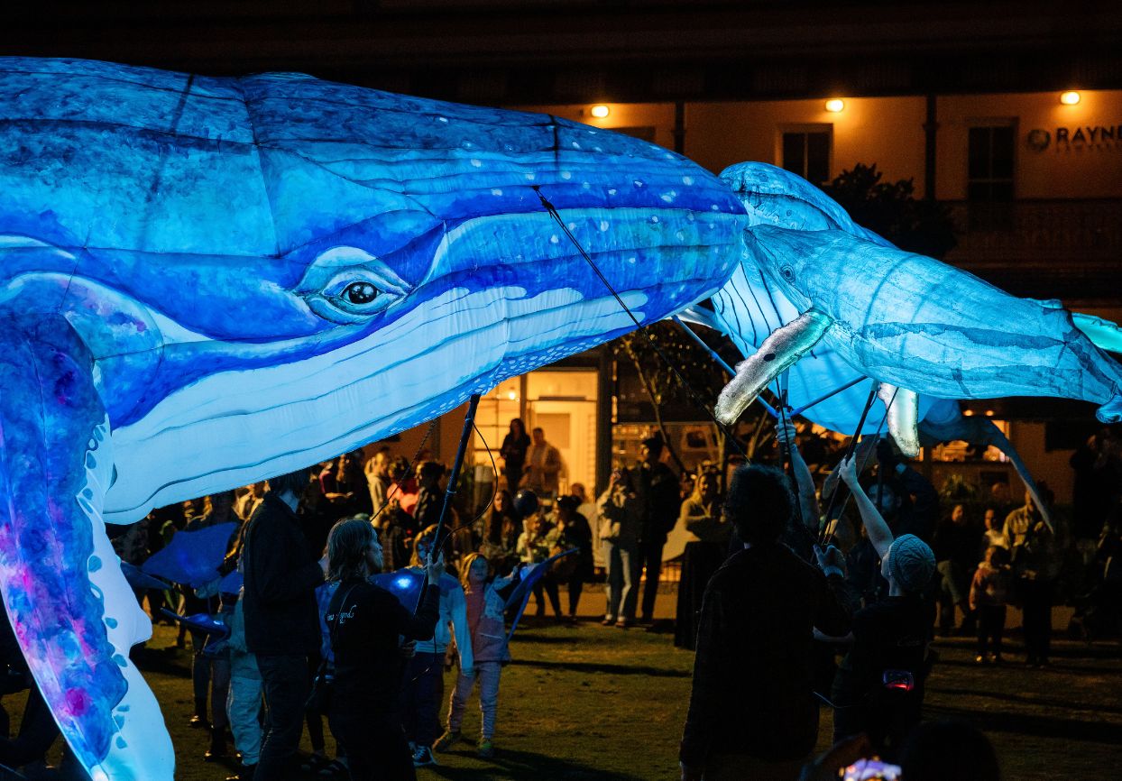 Curious Legends performing their interactive show, Whale Song. 