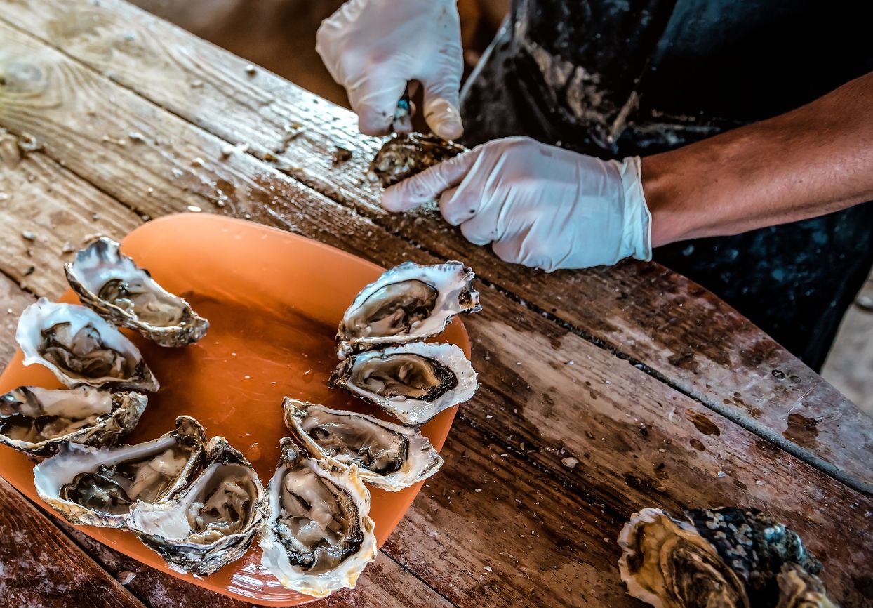 The Shuck Off at MEGAN COPE Ngumpi Kinyingarra Oyster House